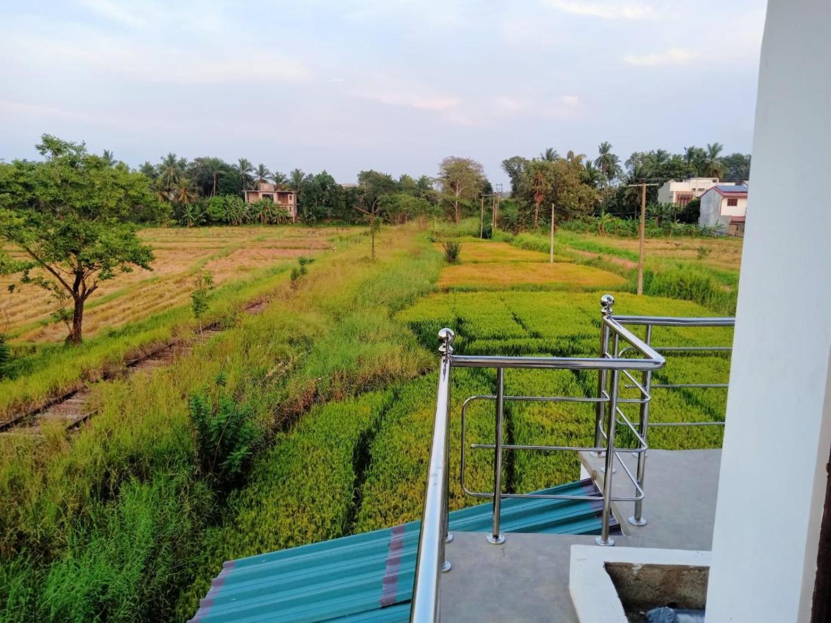 Freedom Of Green Rice View Anuradhapura Ngoại thất bức ảnh