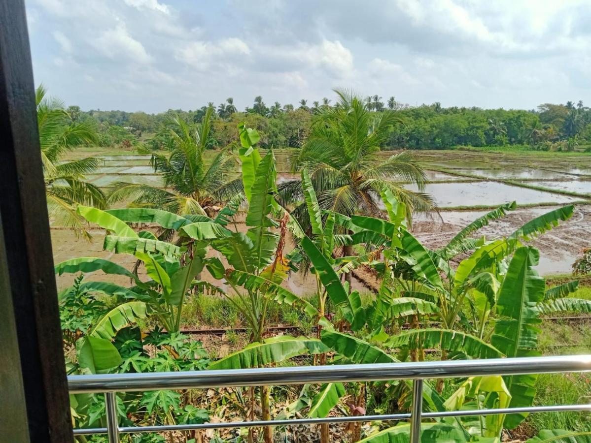 Freedom Of Green Rice View Anuradhapura Ngoại thất bức ảnh