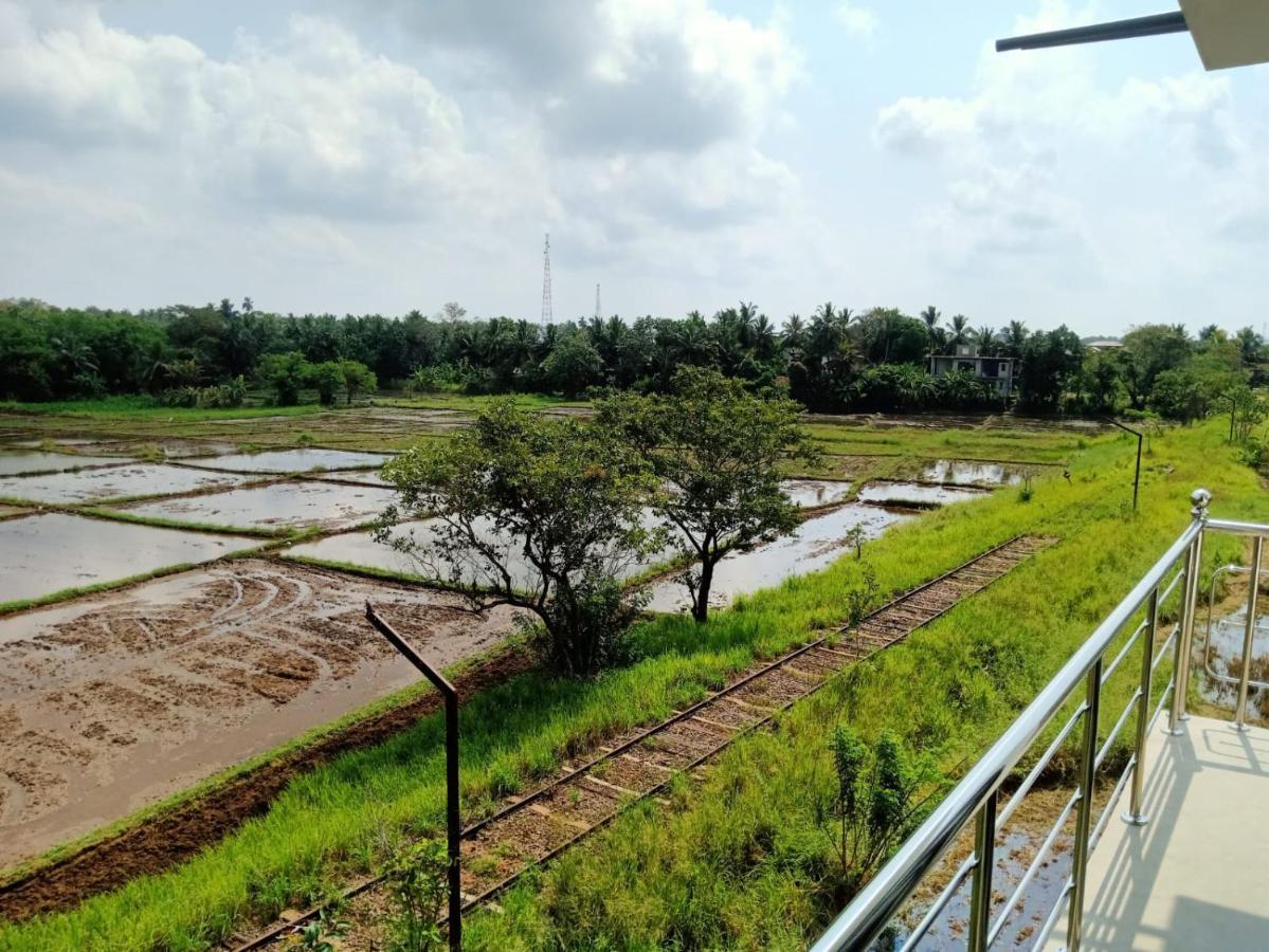 Freedom Of Green Rice View Anuradhapura Ngoại thất bức ảnh