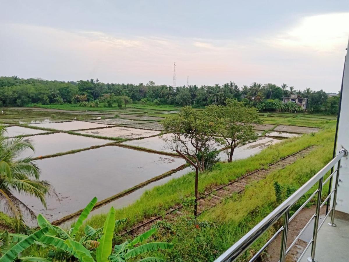 Freedom Of Green Rice View Anuradhapura Ngoại thất bức ảnh