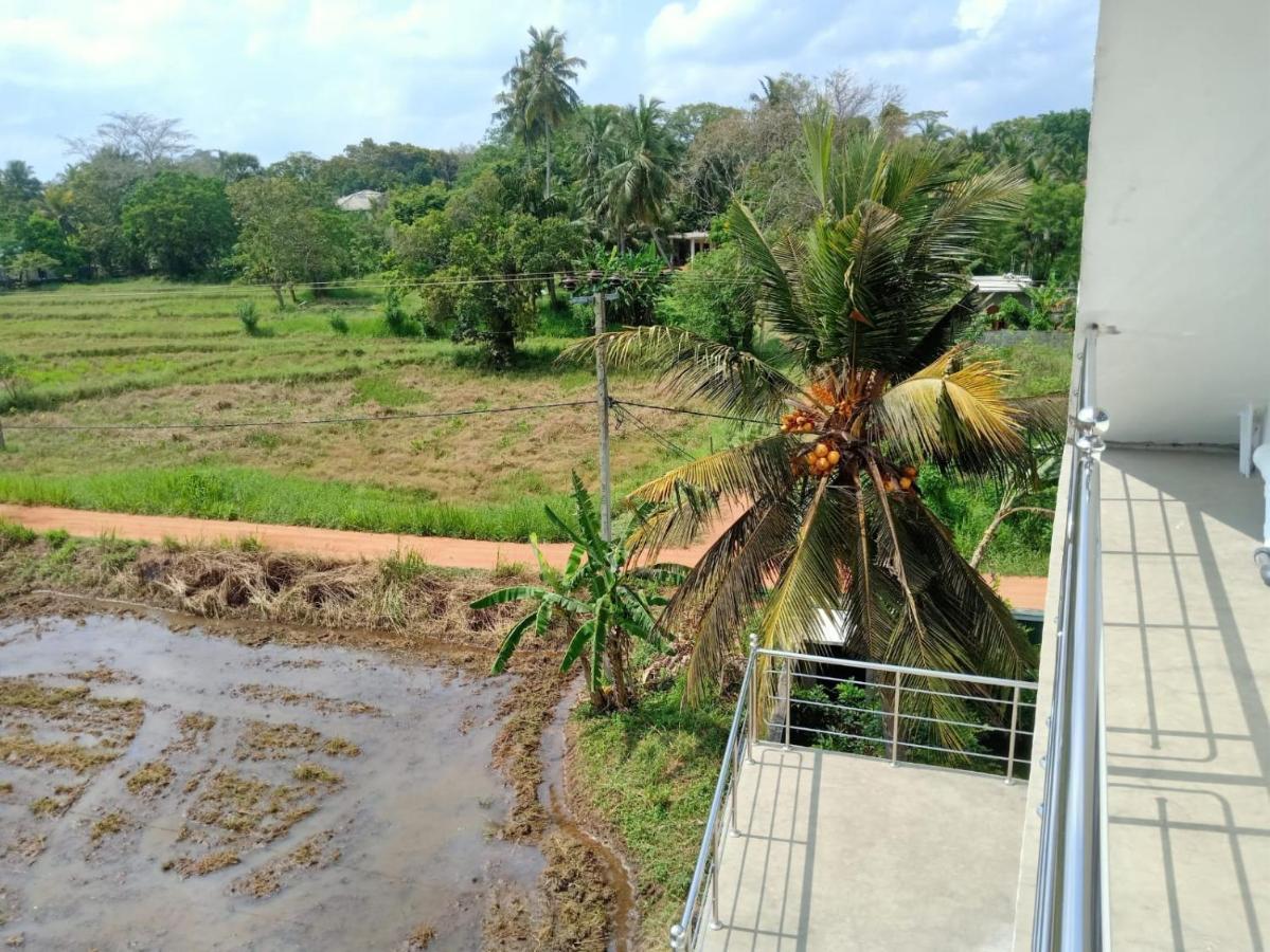 Freedom Of Green Rice View Anuradhapura Ngoại thất bức ảnh