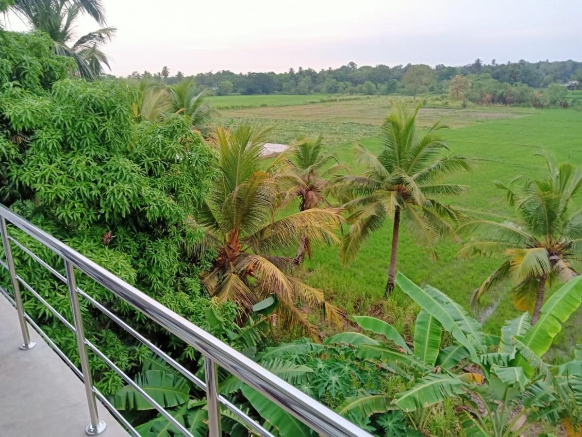 Freedom Of Green Rice View Anuradhapura Ngoại thất bức ảnh